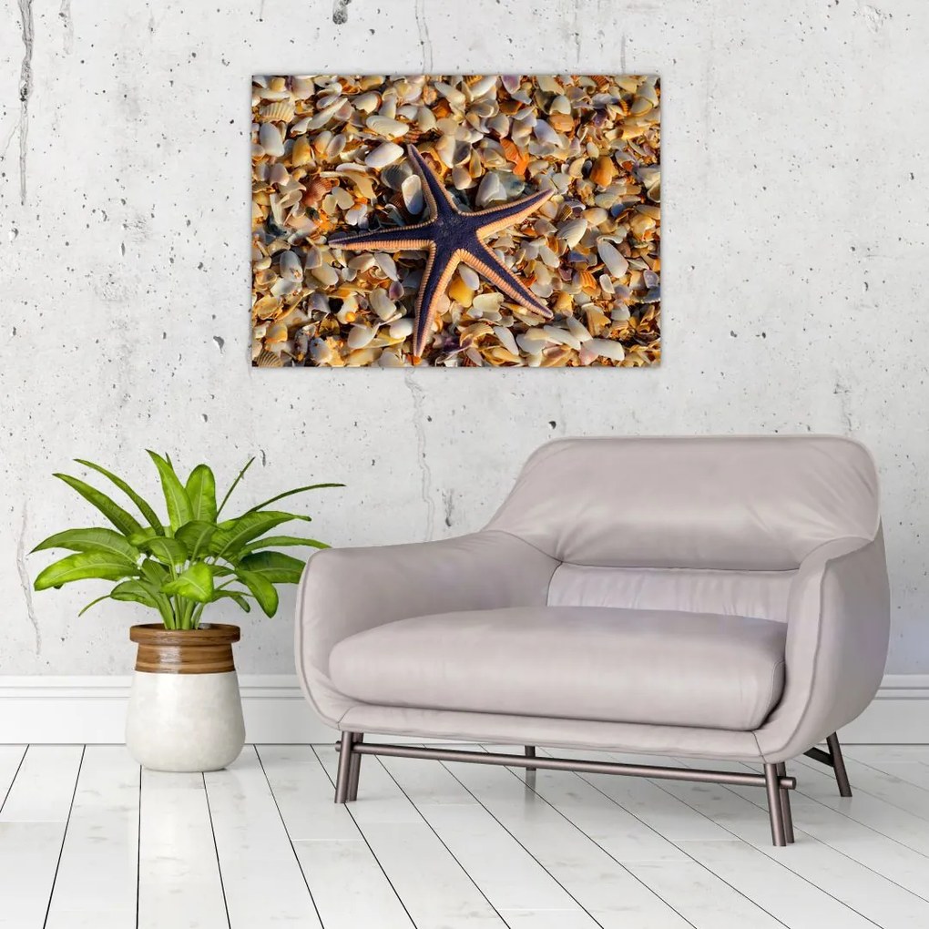 Tablou cu stea de mare (70x50 cm)