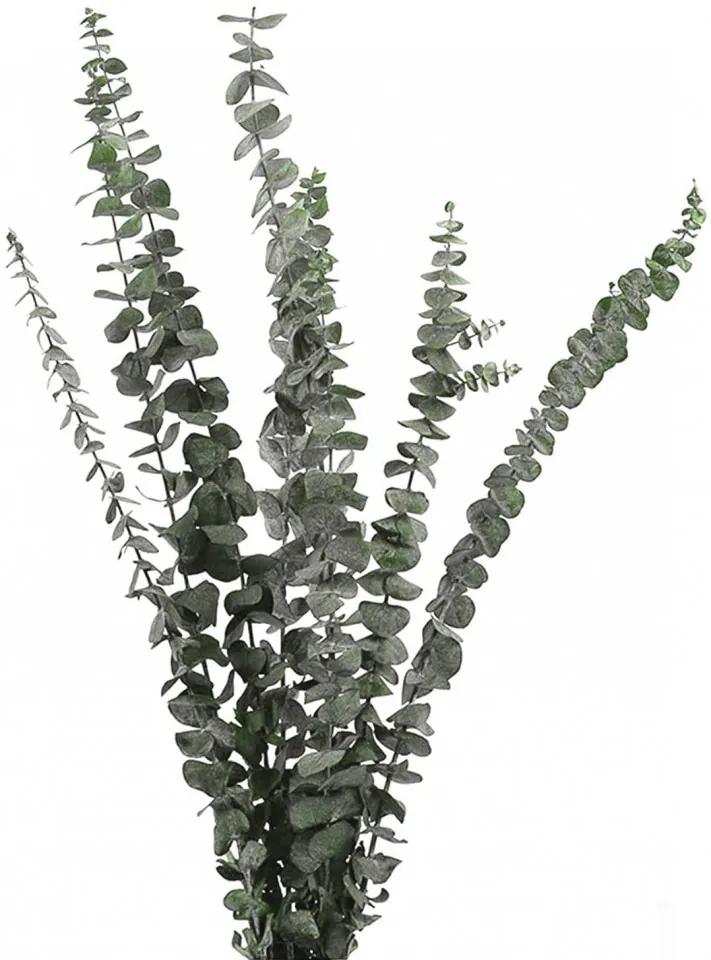 Set de 10 plante Lyeiaa, verde inchis, 40-43 cm