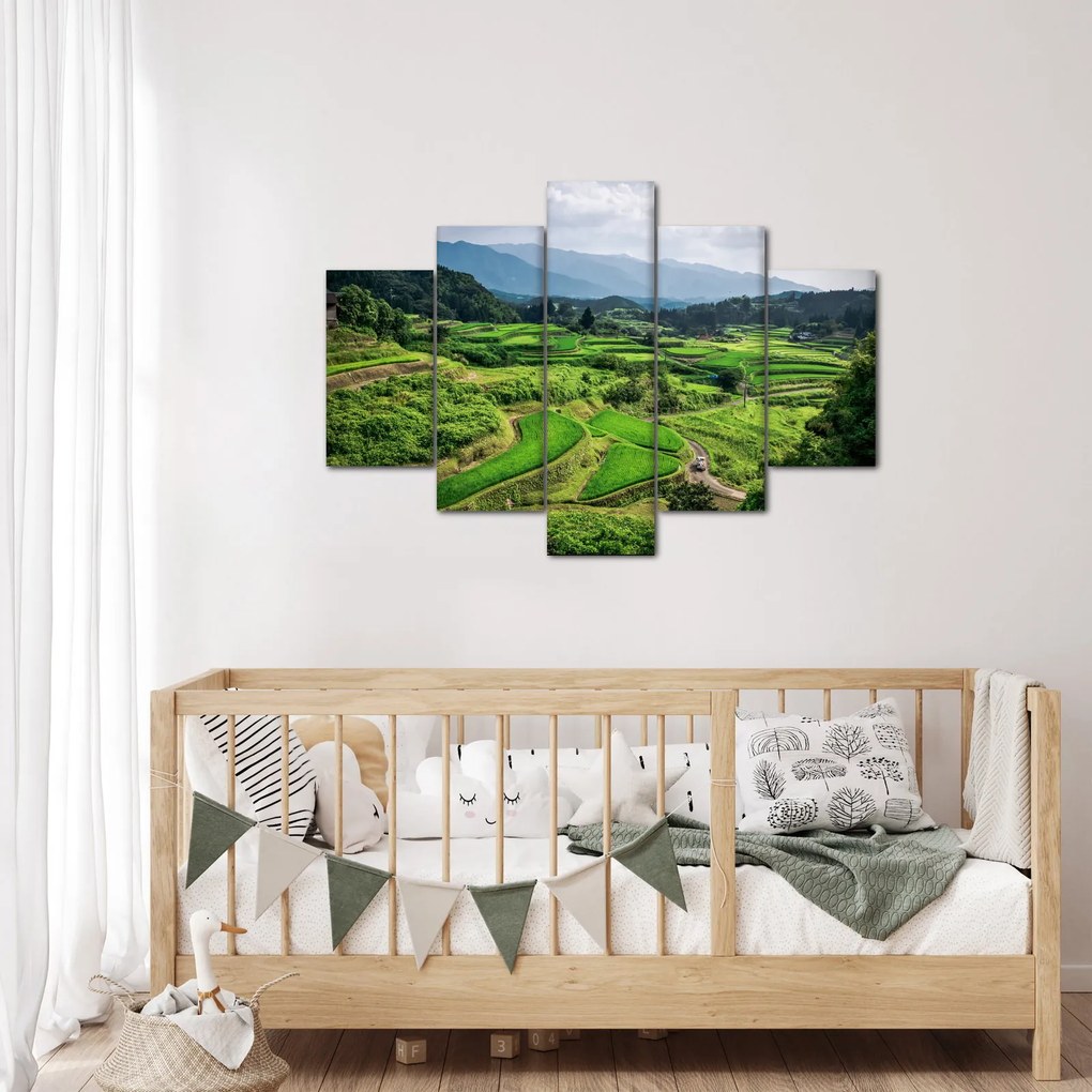 Tablou cu câmp de orez (150x105 cm)