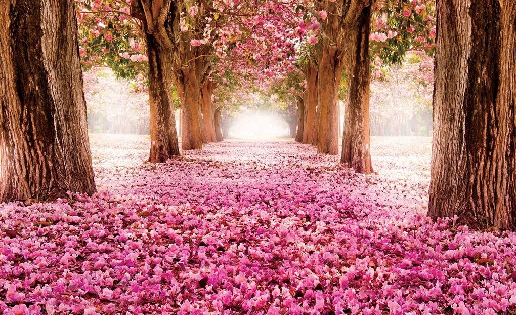 Fototapet - Alee florală (254x184 cm)