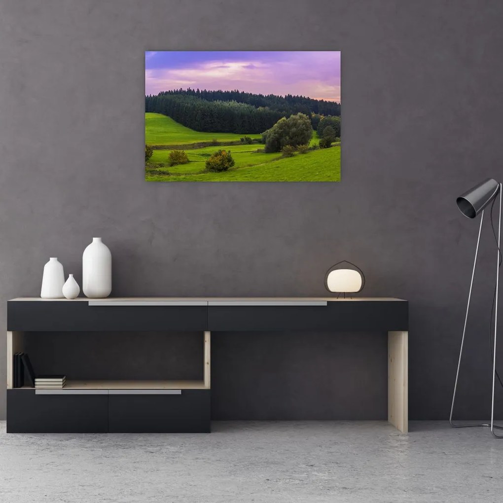 Tablou cu lunca (90x60 cm)