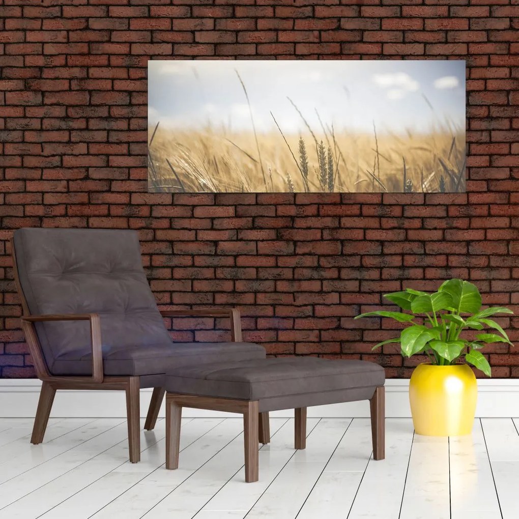 Tablou cu grâne (120x50 cm)