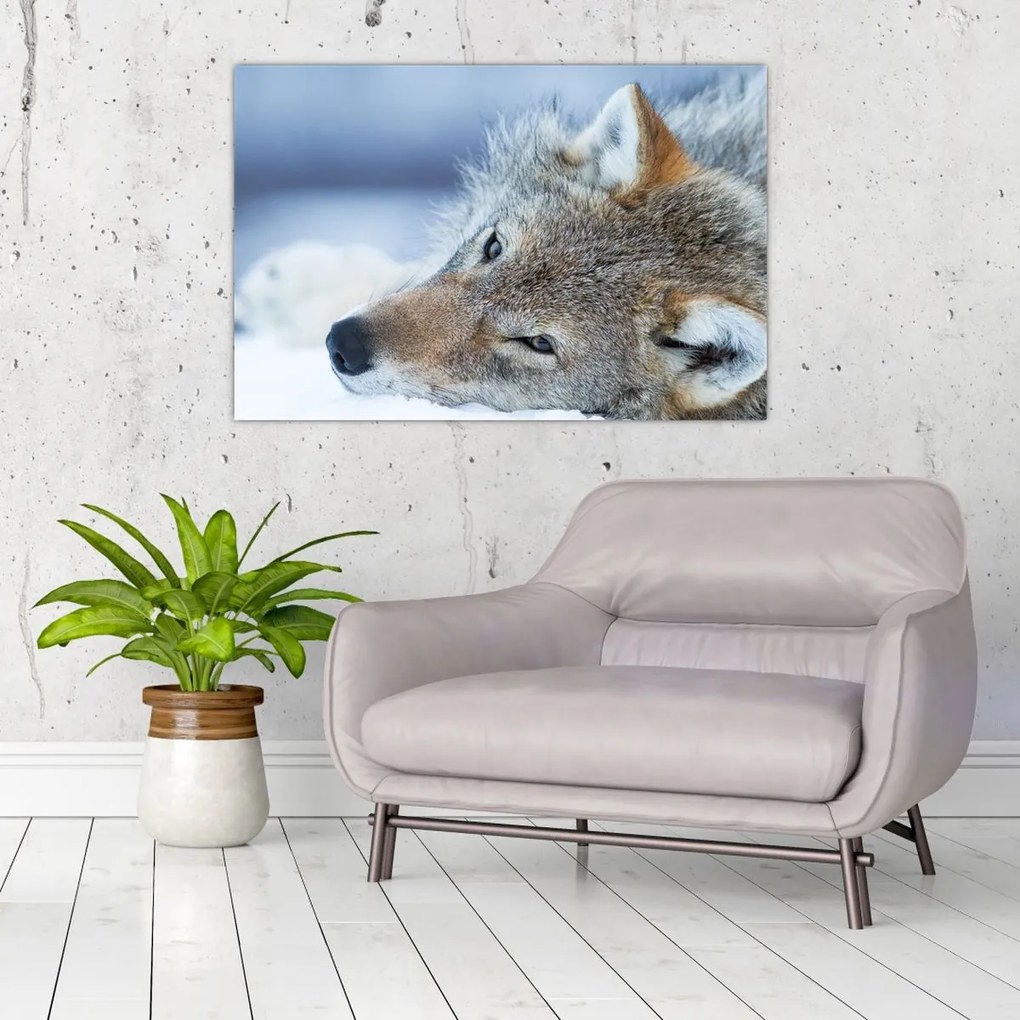 Tablou - Lup (90x60 cm)