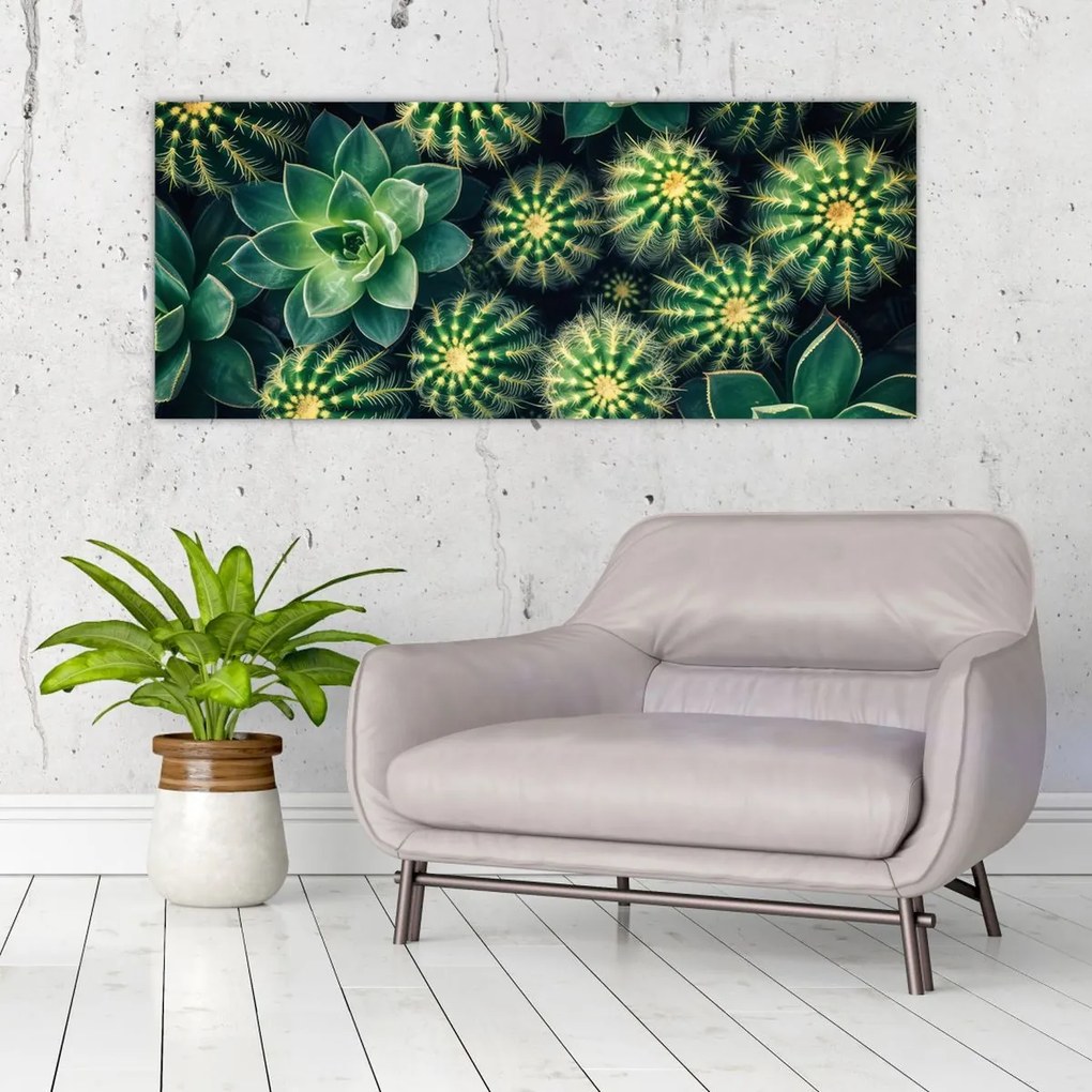 Tablou - Cactuși (120x50 cm)