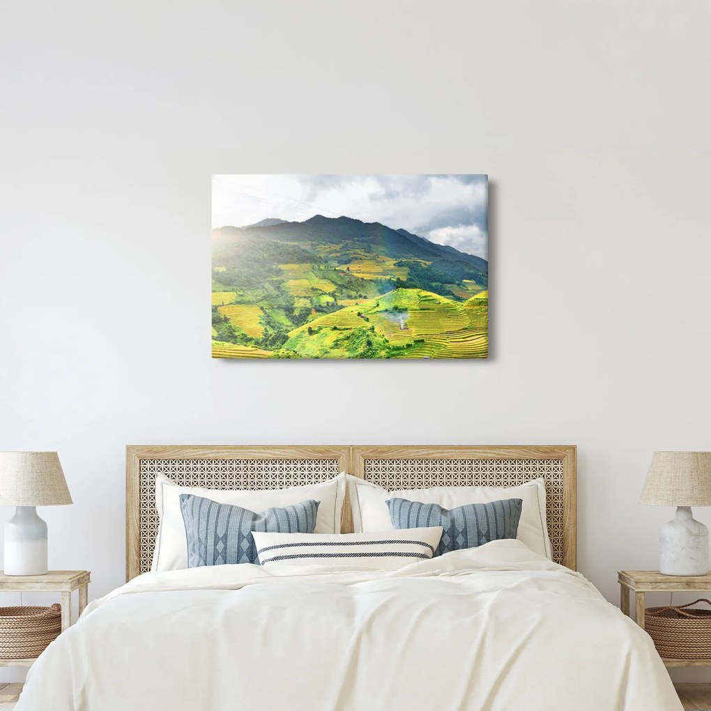 Tablou plantație (90x60 cm)