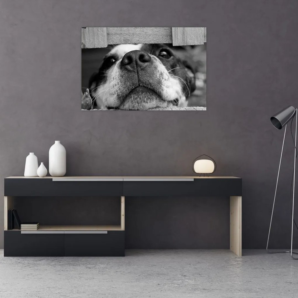 Tablou cu câine (90x60 cm)