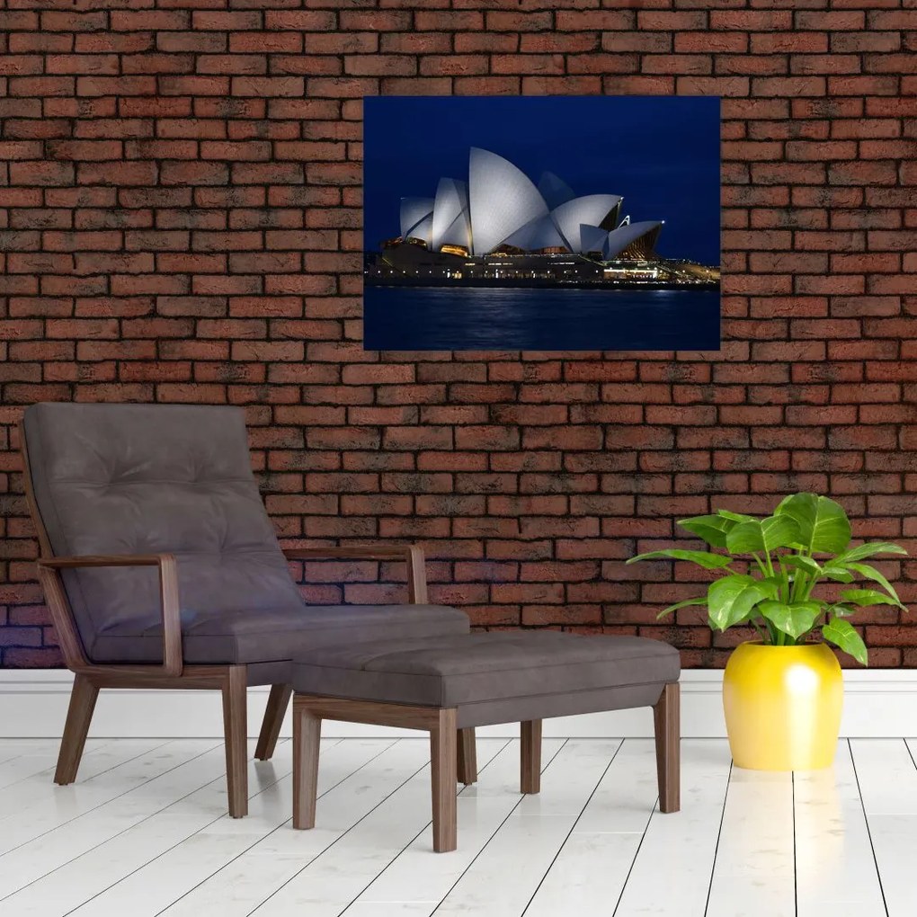 Tabloul Sydney nocturn (70x50 cm)