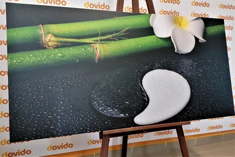 Tablou Spa natura moartă cu simbolul Yin și Yang