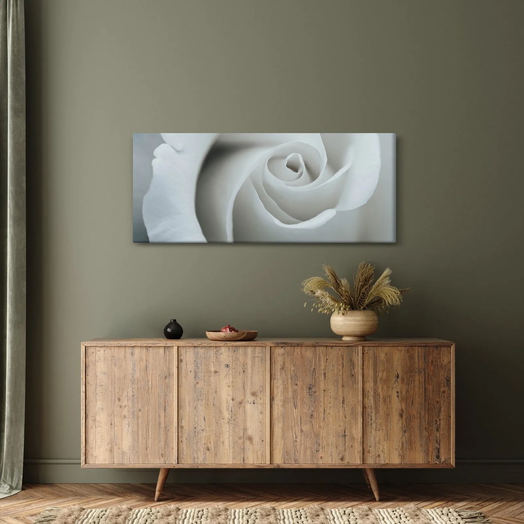 Tablou - Trandafirul alb (120x50 cm)