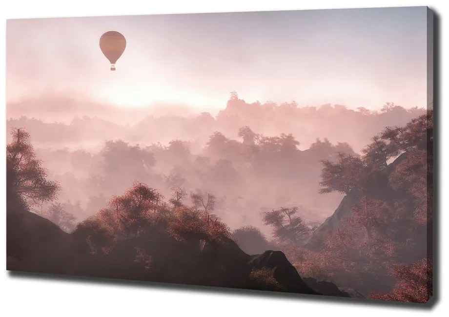 Print pe canvas Balonul deasupra pădurii