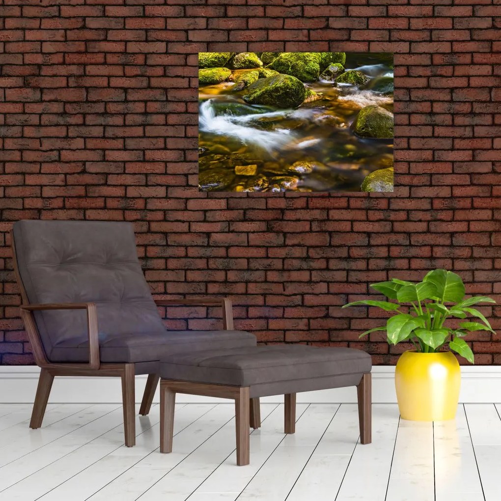 Tablou cu părâu (70x50 cm)