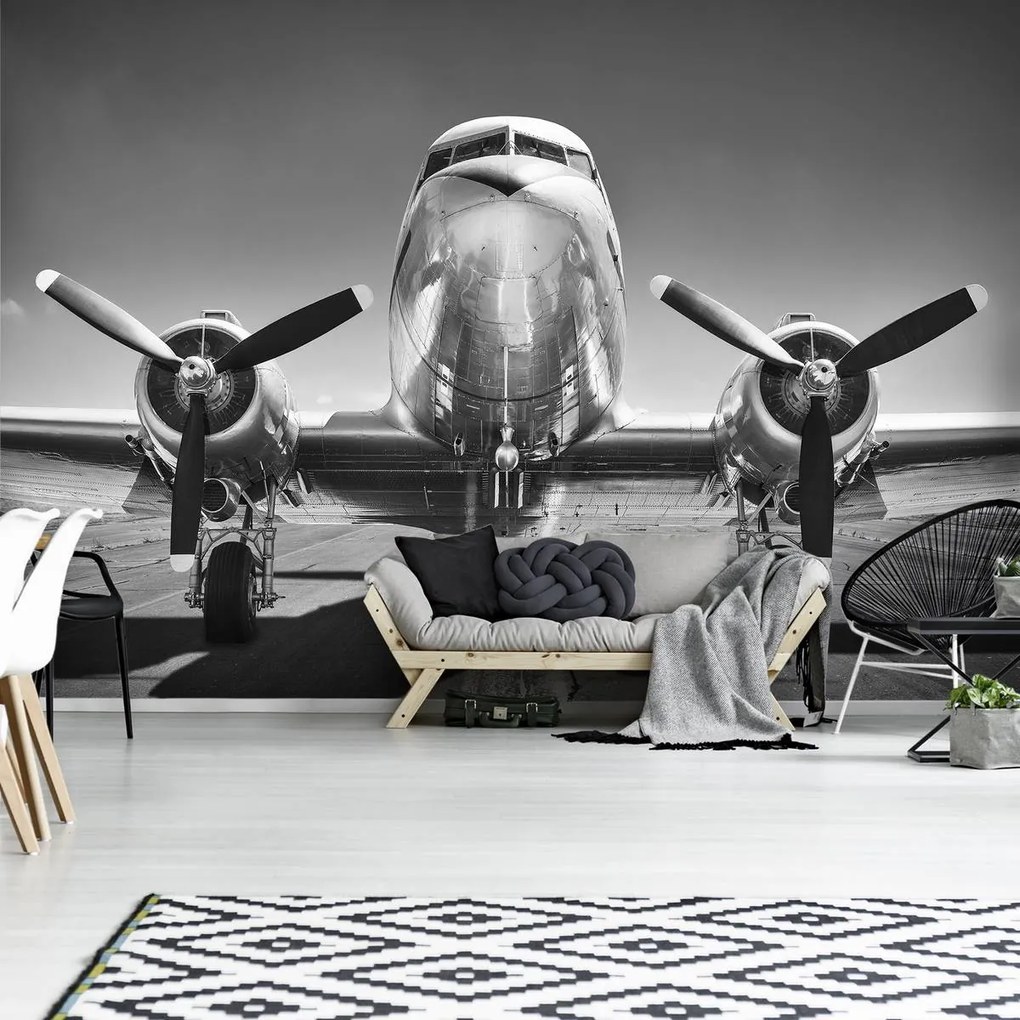 Fototapet - Avion (152,5x104 cm)