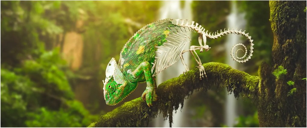 Tablou cu șopârlă (120x50 cm)