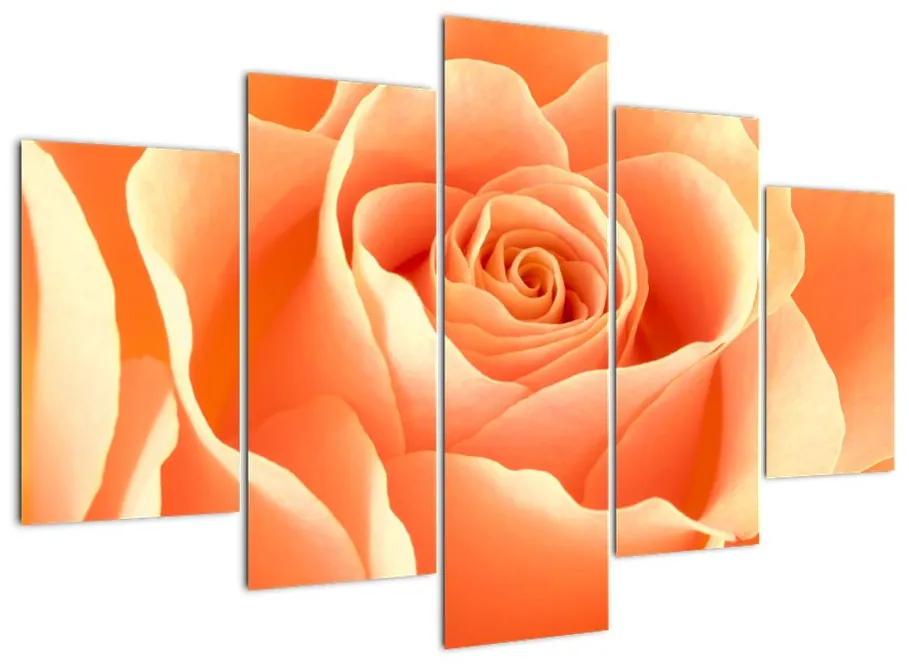 Tablou - trandafiri portocalii (150x105cm)