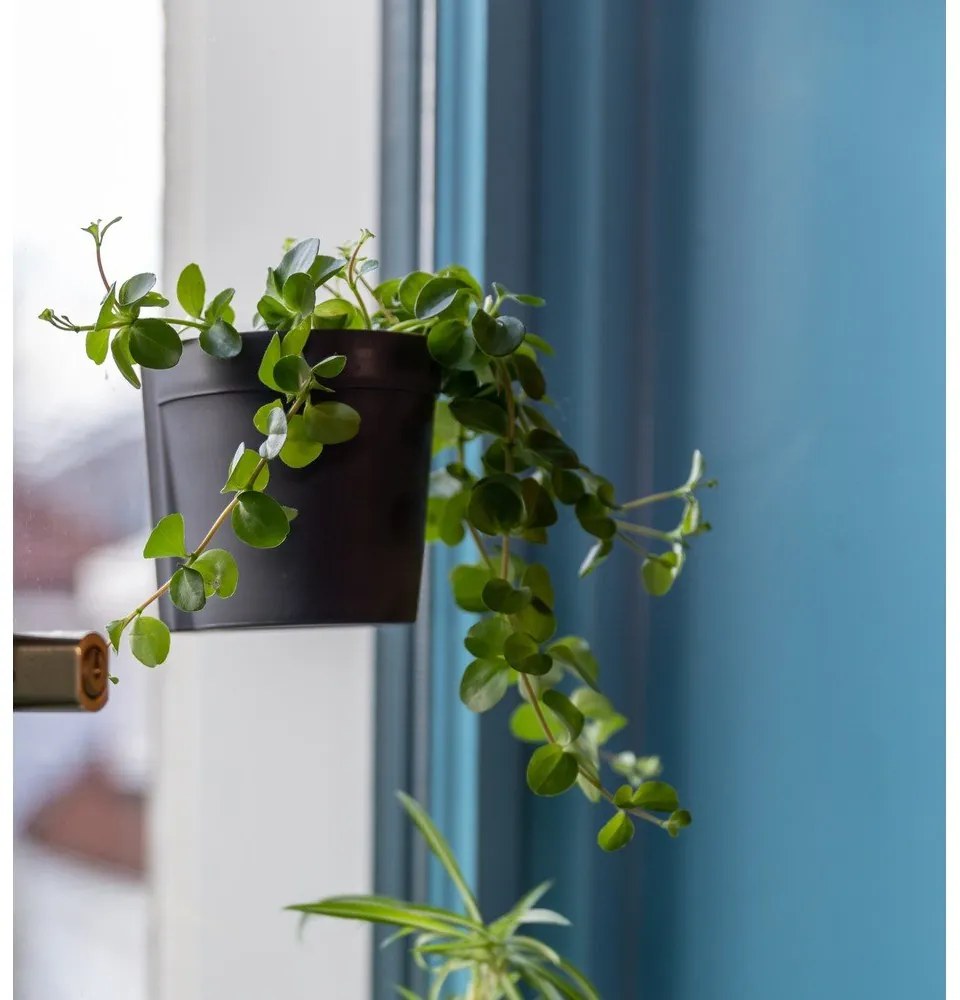 Ghivece 2 buc. din plastic suspendate și de perete ø 10 cm – Esschert Design