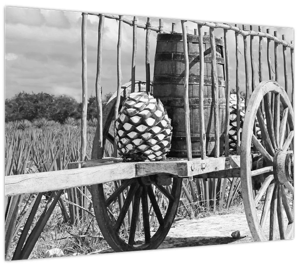 Tablou - Remorcă,alb-negru (70x50 cm)