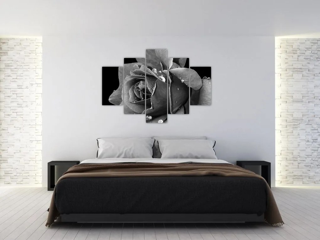 Tablou cu trandafir - albneagră (150x105 cm)