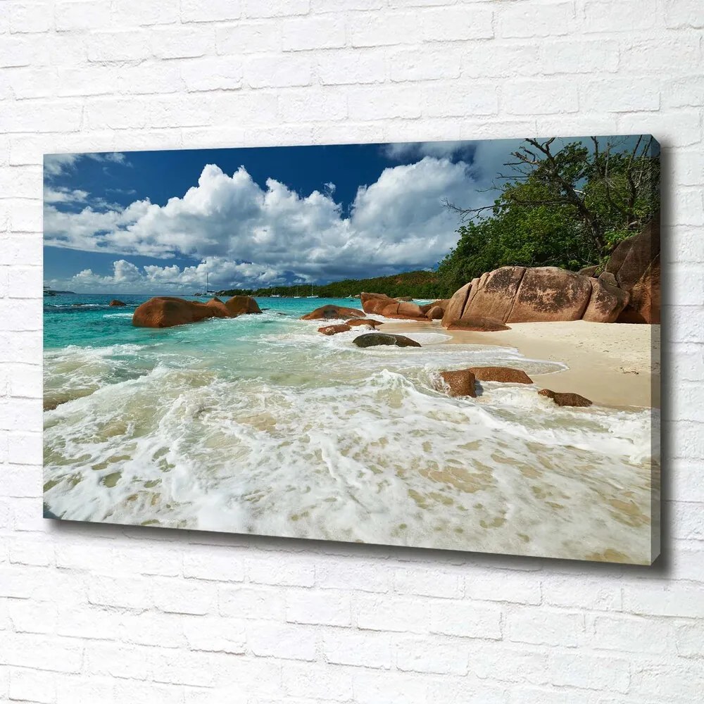 Tablou canvas Plaja seychelles