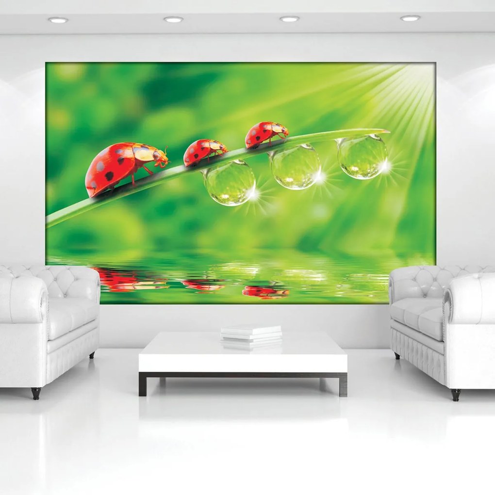 Fototapet - Flori (254x184 cm)