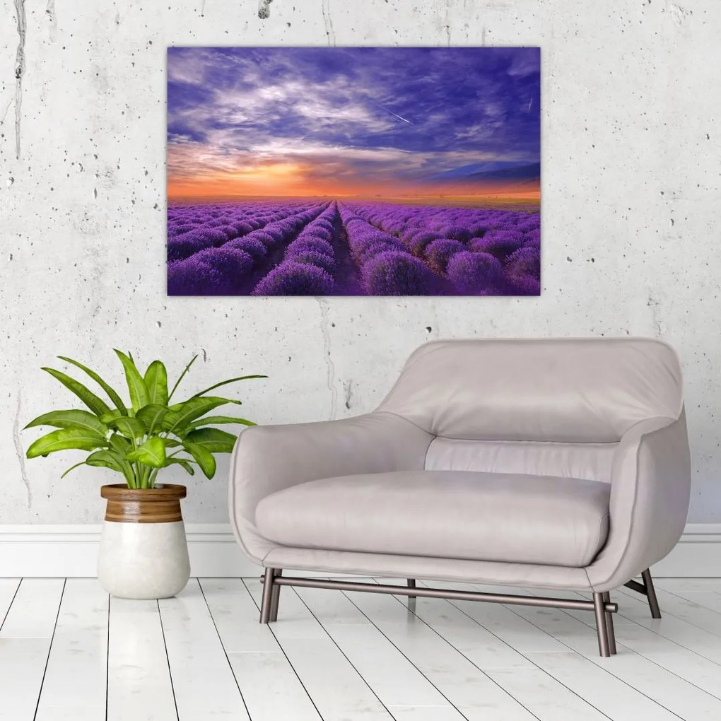 Tablou câmpului cu lavandă (90x60 cm)