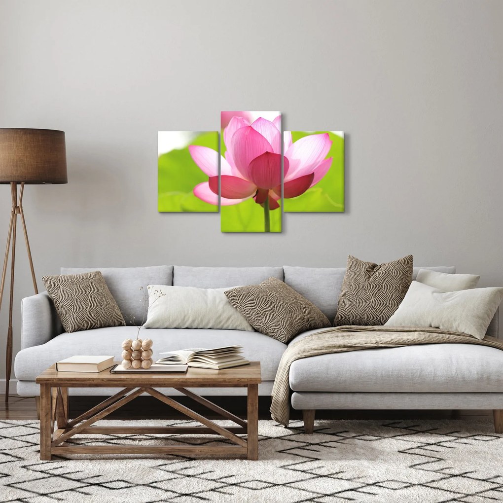 Tablou cu flori de lotus (90x60 cm)