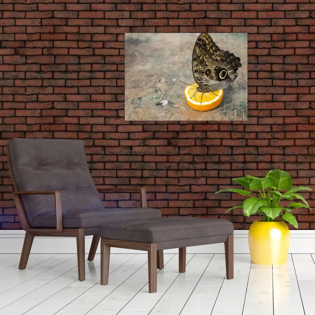 Tablou cu fluturi (70x50 cm)