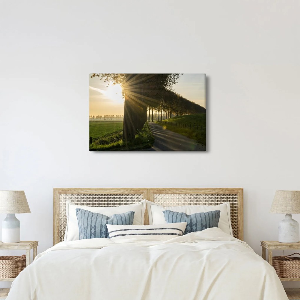 Tablou cu alee (90x60 cm)