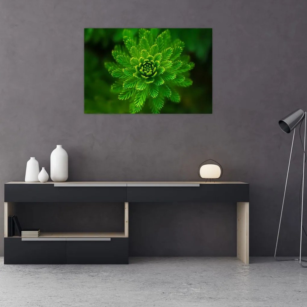 Tablou cu coniferi (90x60 cm)