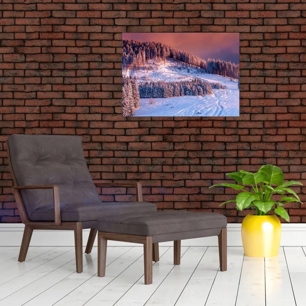 Tablou - Peisaj de iarnă (70x50 cm)