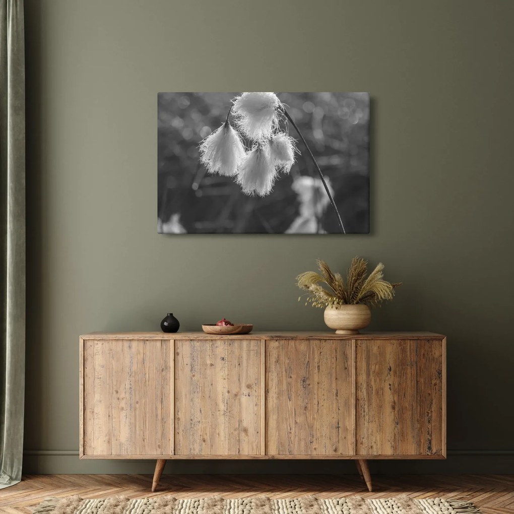 Tablou - Iarba de bumbac (90x60 cm)