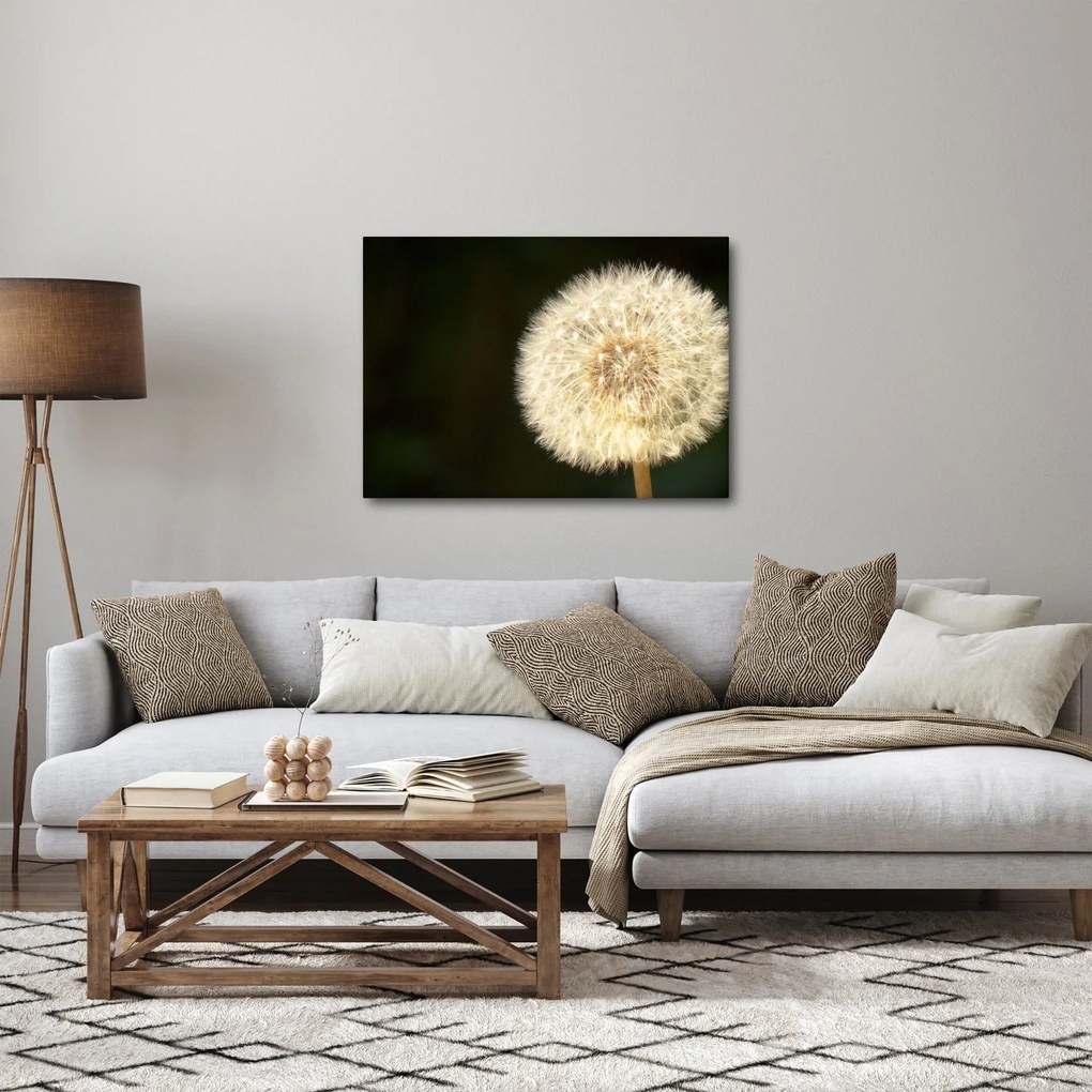 Tablou cu păpădie gri (70x50 cm)