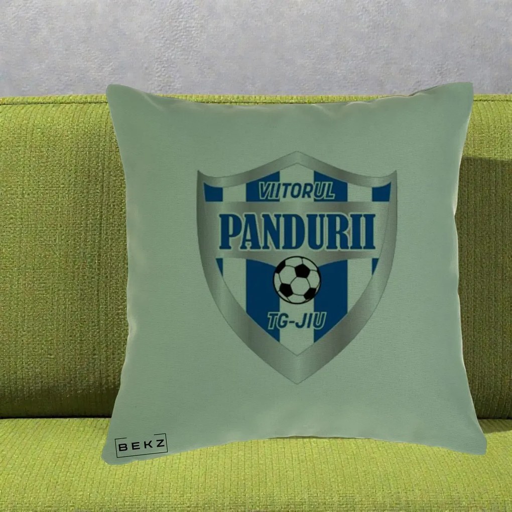 Perna Personalizata Pandurii Targu Jiu Fotbal, 40x40 cm, Verde, Husa Detasabila, Perna Inclusa, BEKZ®