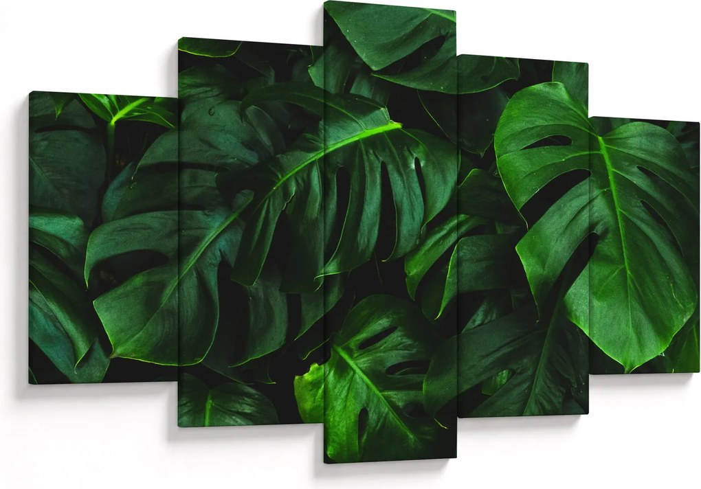 Tablou cu frunze Monstery (150x105 cm)