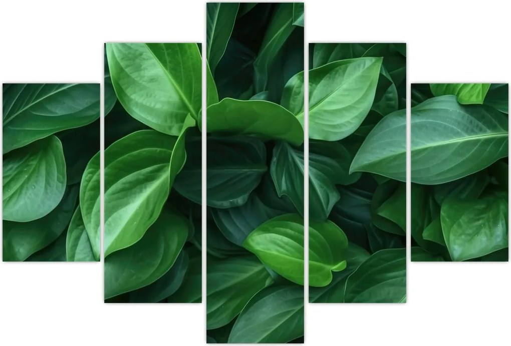 Tablou - Frunze verzi (150x105 cm)
