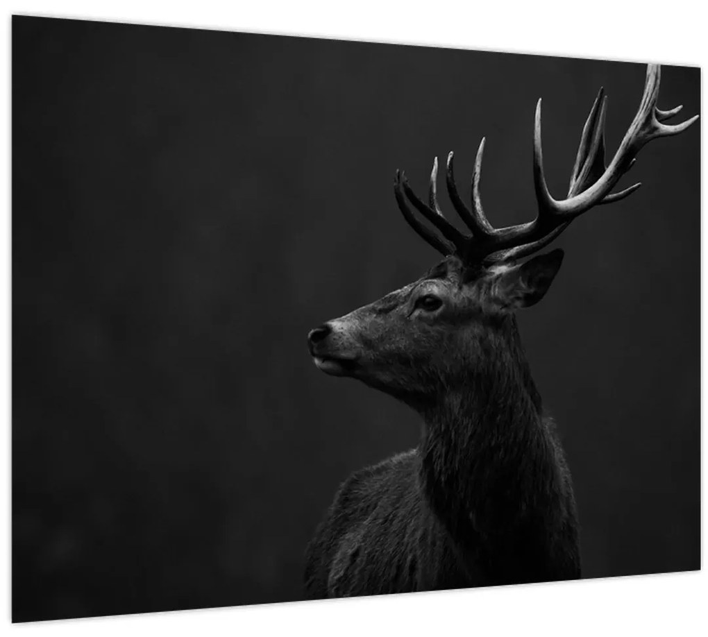 Tablou - Portret de căprioară (70x50 cm)