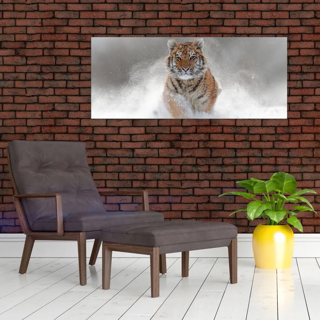 Tablou cutigru fugind prin zăpadă (120x50 cm)