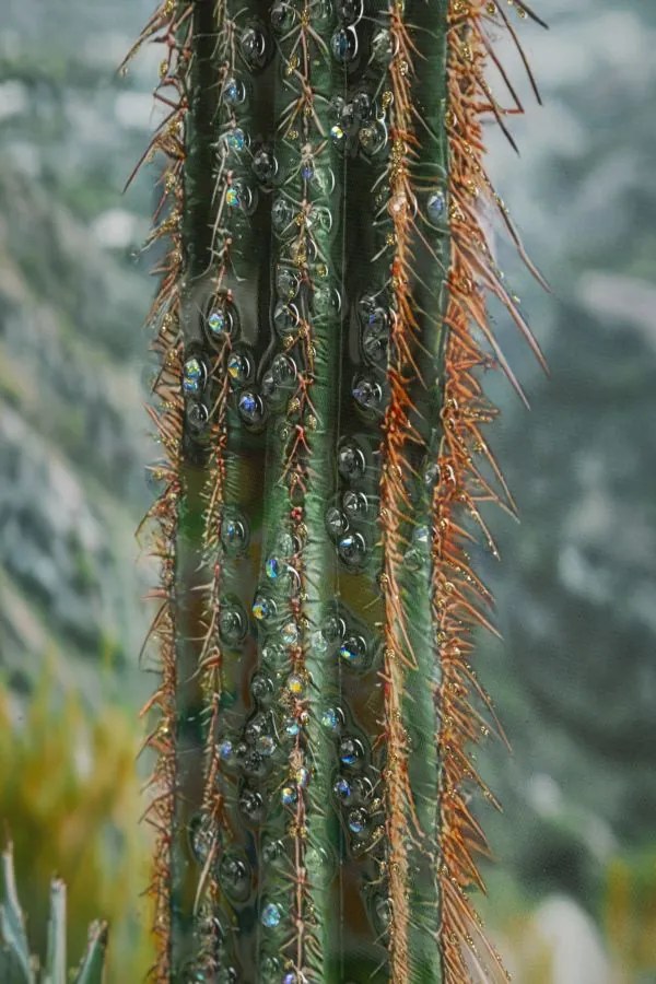 Mauro Ferretti Pictura Pe Panza, Cu Rama, Cactus -A- Cm 60X4X88 | Aosom Romania