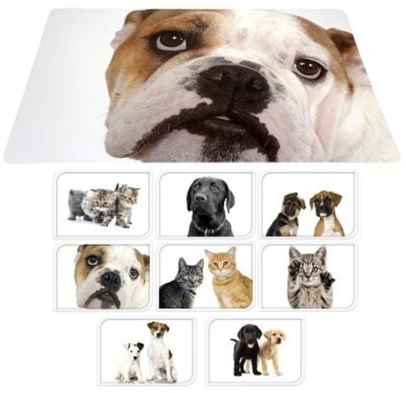 Suport de masa pentru copii 56x37 cm DOGS & CATS Varianta: Bullo