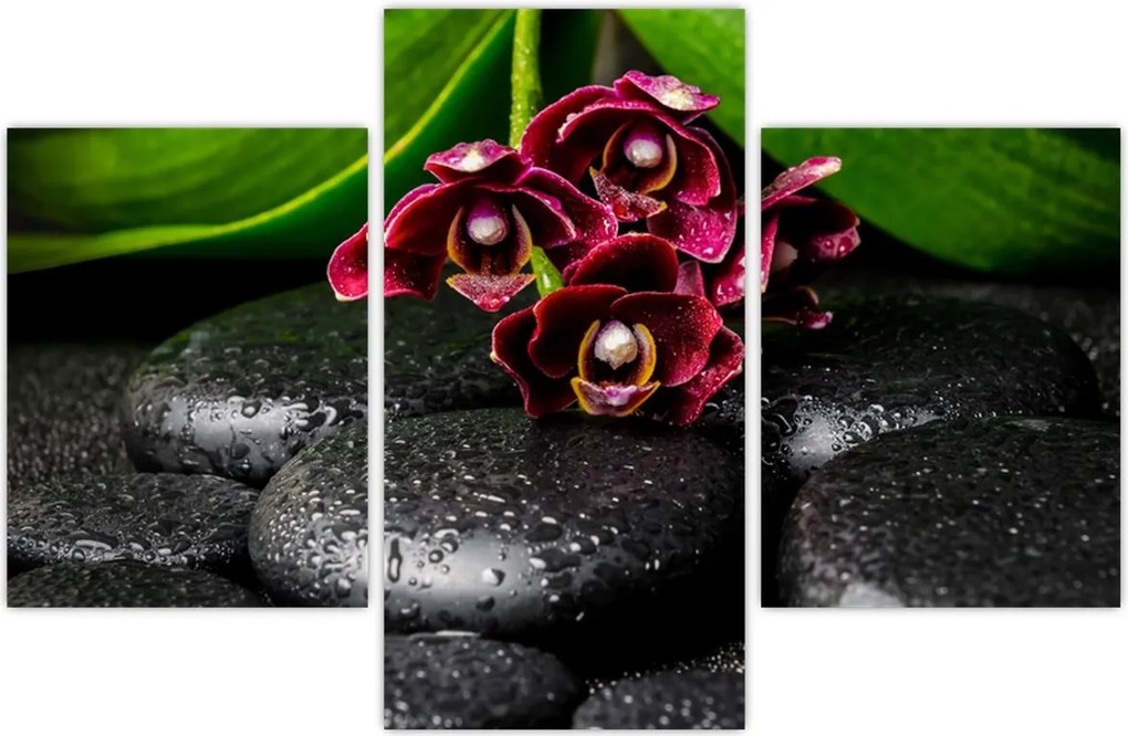 Tablou - Pietre de lavă (90x60 cm)