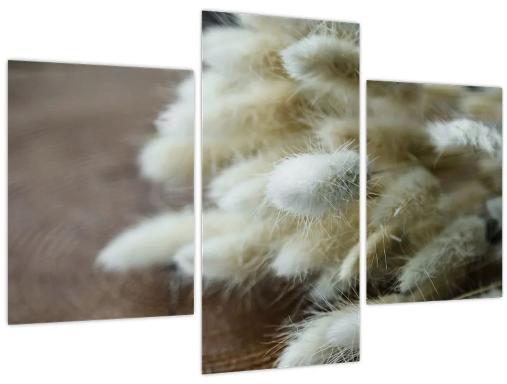 Tablou - Coadă de iepure (90x60 cm)