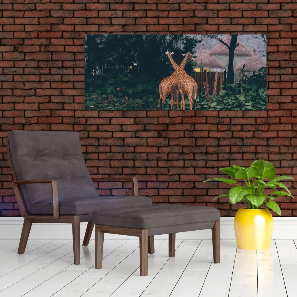 Tablou cu două girafe (120x50 cm)