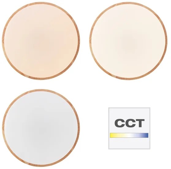 Brilliant - Plafonieră LED dimerizabilă SLIMLINE LED/60W/230V + telecomandă