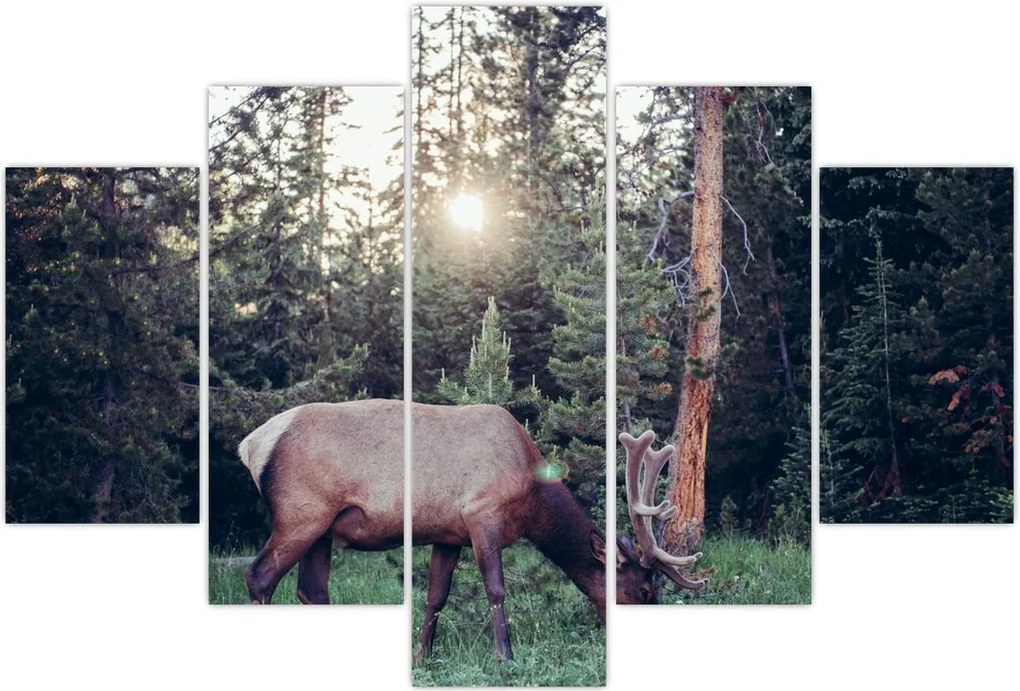 Tablou - Elan în poiană (150x105 cm)
