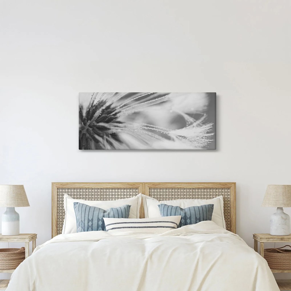 Tablou - Păpădie (120x50 cm)