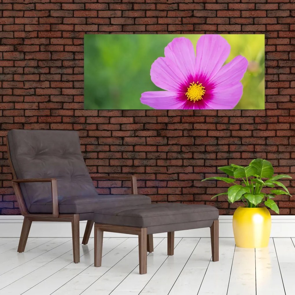 Tablou - floare de câmp (120x50 cm)