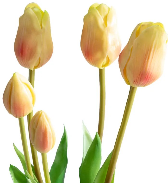 Buchet LALELE galben deschis, 46 cm, 5 buc