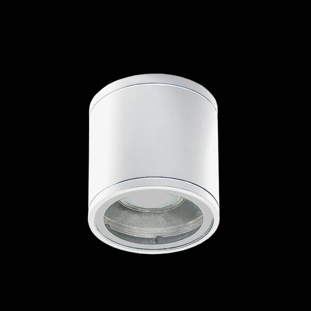 Spot aplicat iluminat exterior IP54 JOE TUBE alb ZZ AZ3315