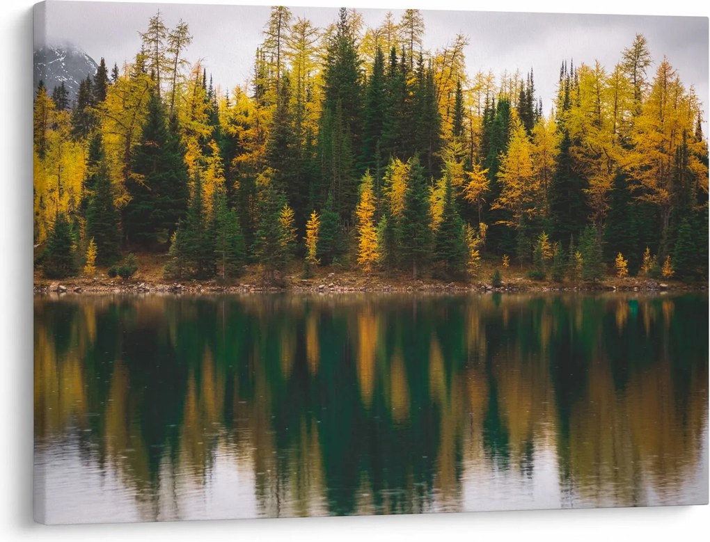 Tablou cu lac de pădure (70x50 cm)