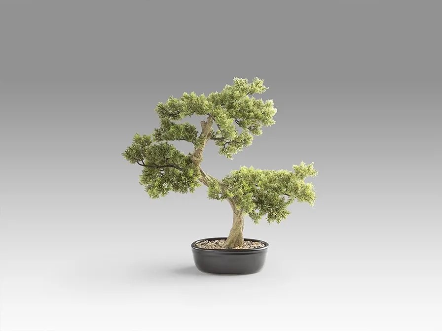 Planta artificiala, Bankan BONSAI 75cm
