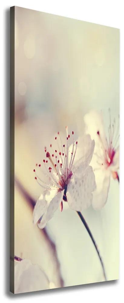 Imprimare tablou canvas Flori de cireș